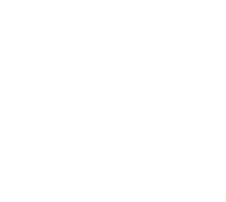 BMW 2er Modelle