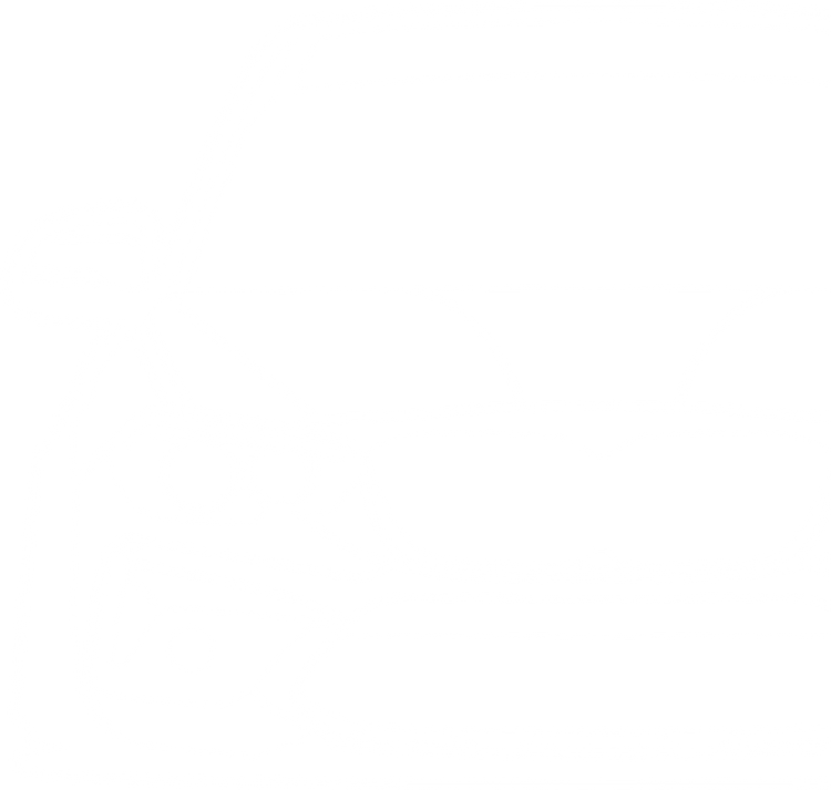 BMW 1er Modelle