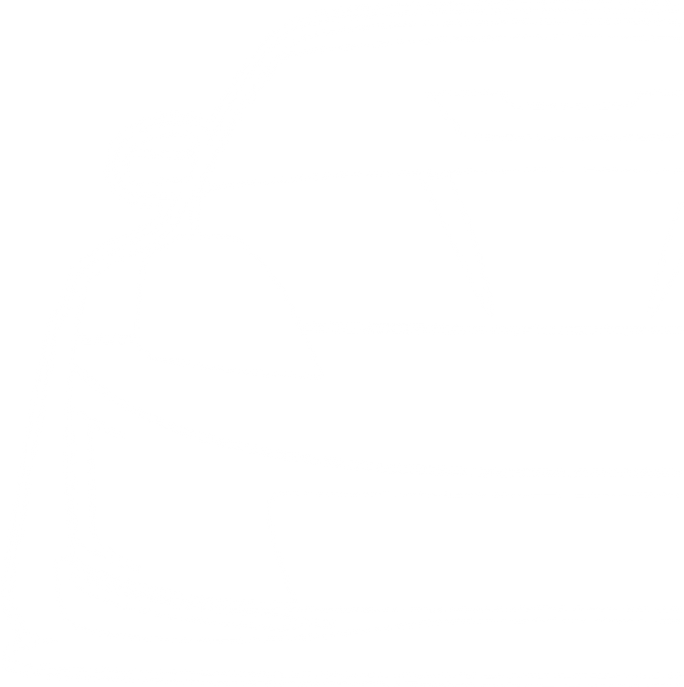 Nissan 350Z