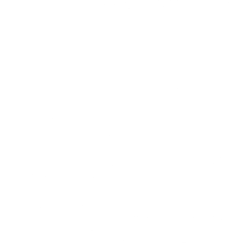 206