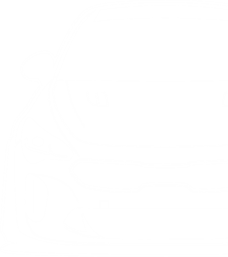 Stinger Fahrzeugsilhouette