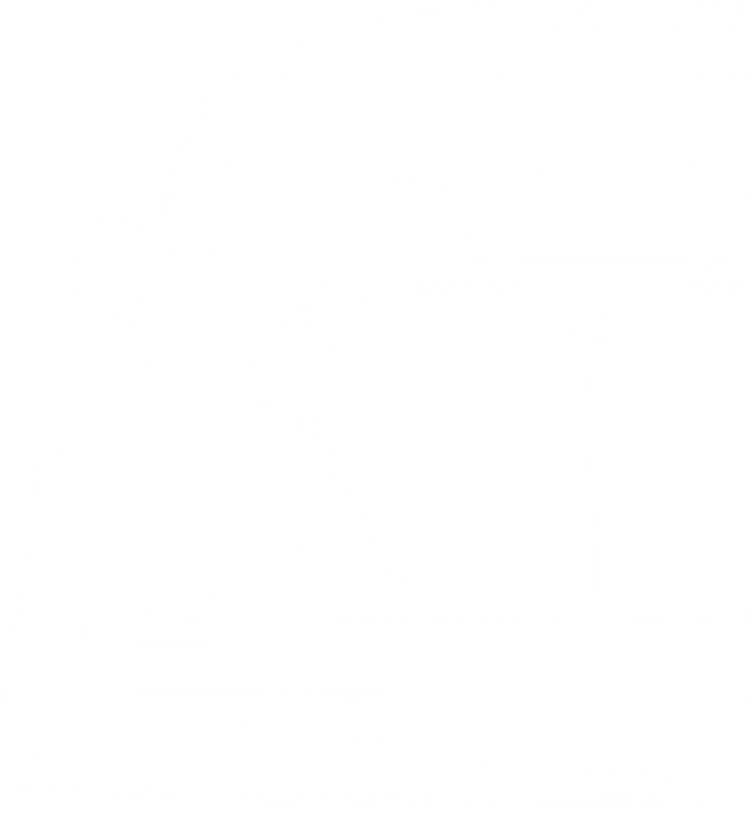 Volkswagen Käfer