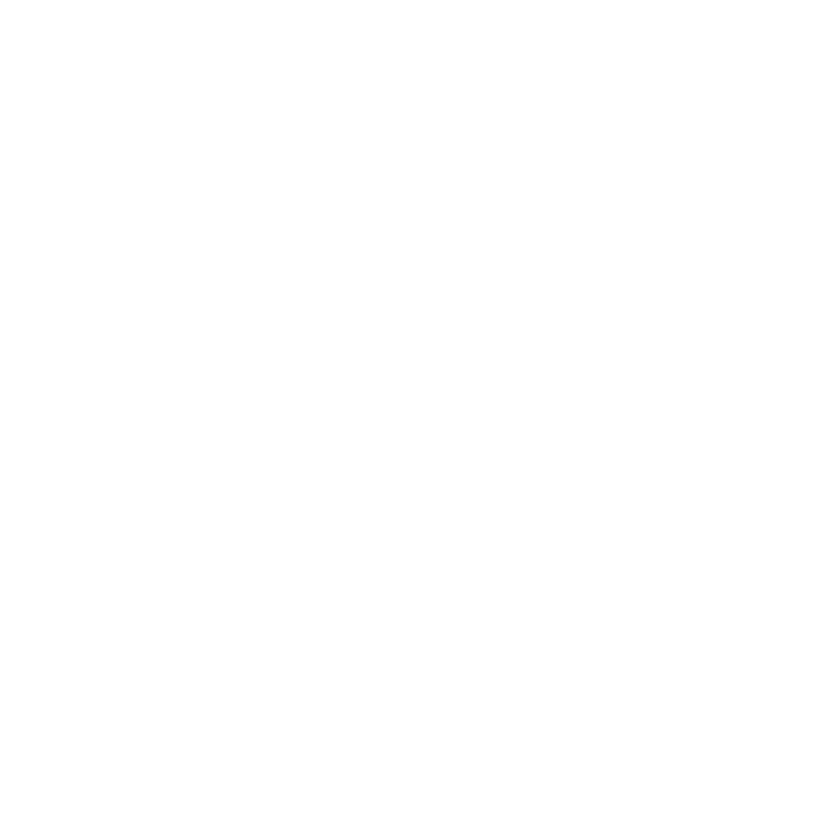 Volvo 480 – Fahrzeug-Silhouette