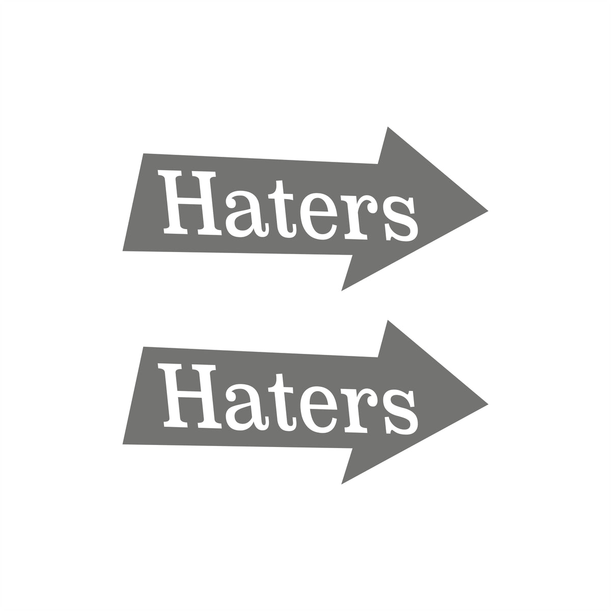 Haters Pfeile 2pcs