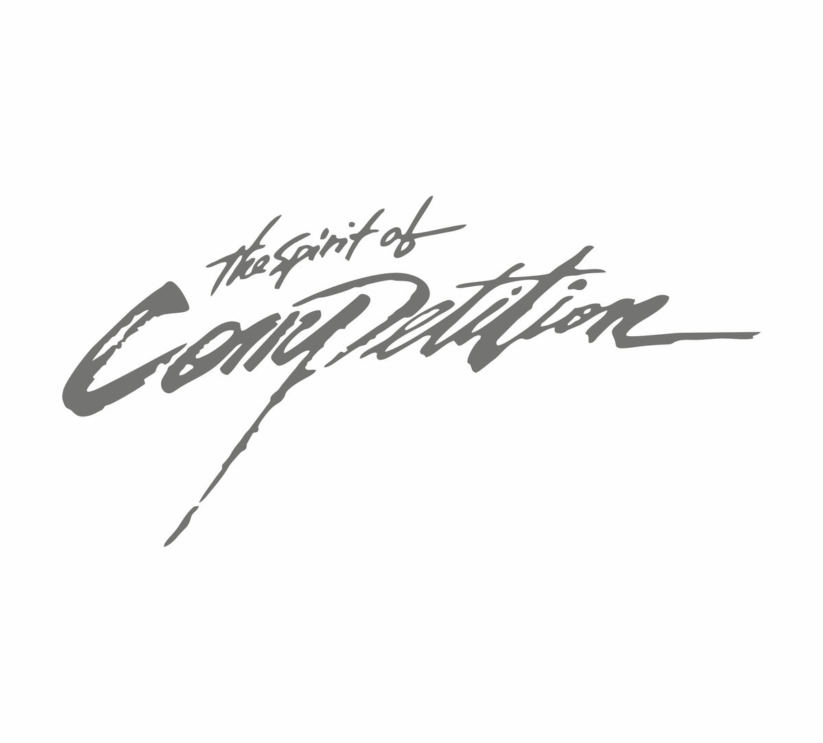 The Spirit of Competition