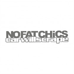 No fat Chics Car will scrape
