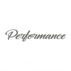 Performance