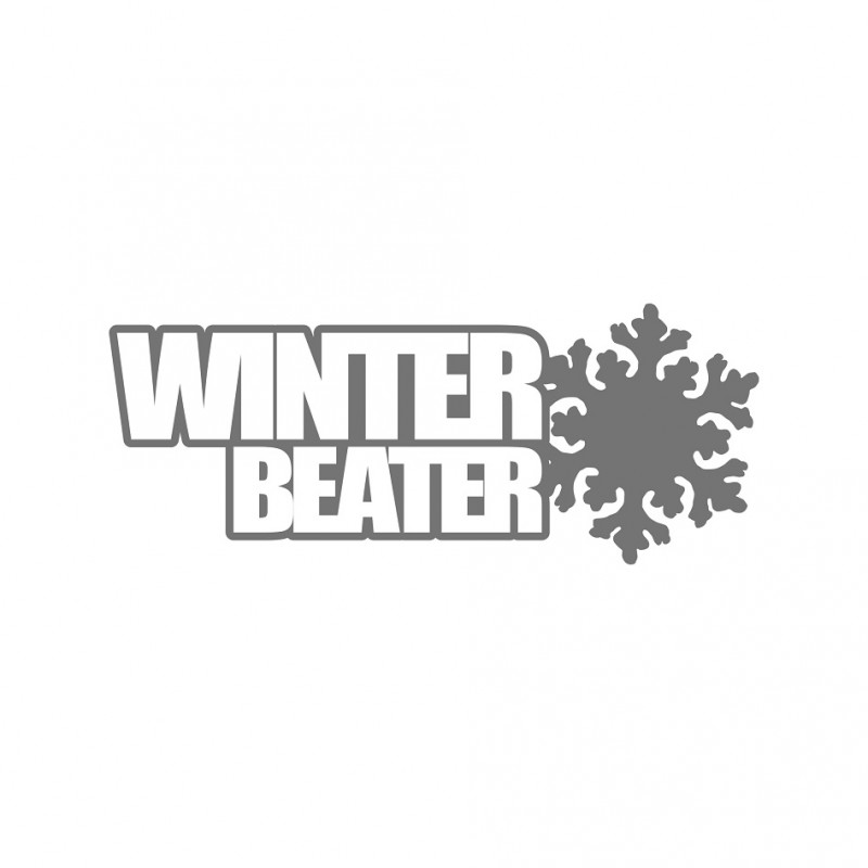 Winter Beater small