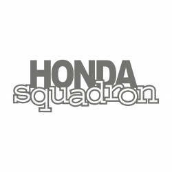 Honda Squadron