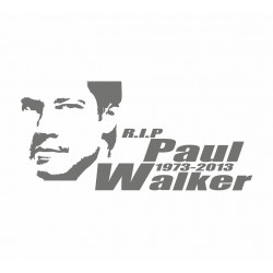 Rip Paul Walker Portrait
