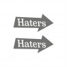 Haters Pfeile 2pcs