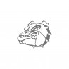 Bulldogge