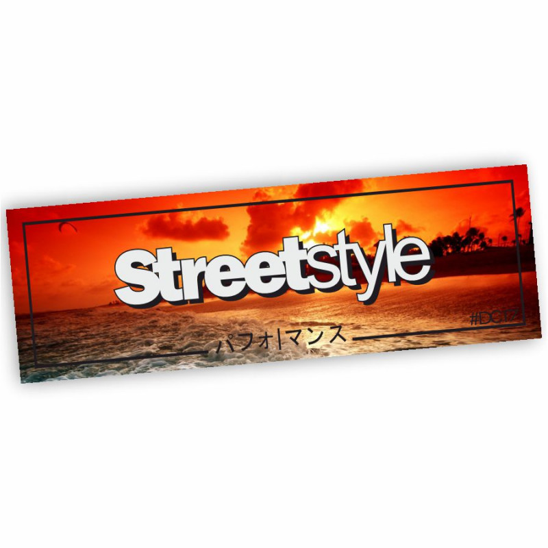 SL-163 Streetstyle Slapsticker