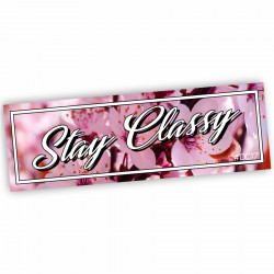 SL-157 Stay Classy Slapsticker