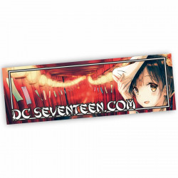 DC Seventeen Anime Face...