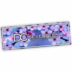 DC Seventeen Slapsticker