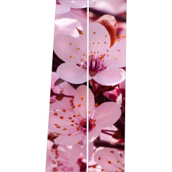 Kirschblüten BS-013
