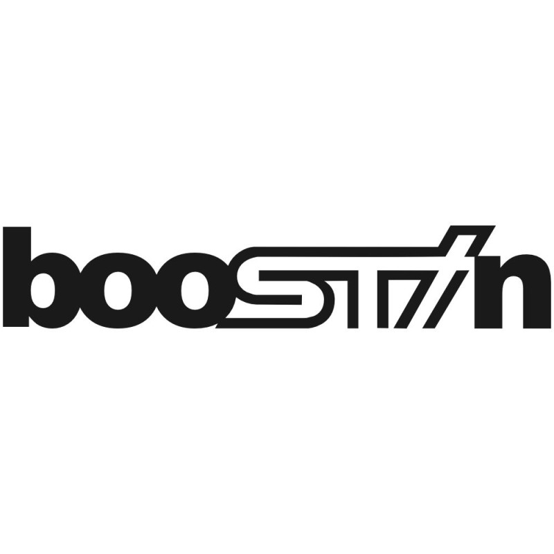 BooSTIn W-009