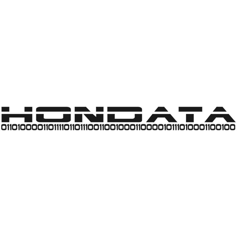 Hondata W-037