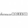 Because Racecar