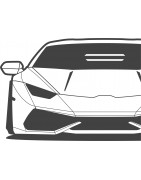 Just for Lamborghini Driver TSM
