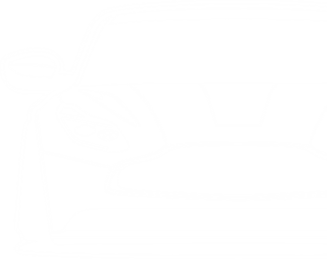 Aston Martin