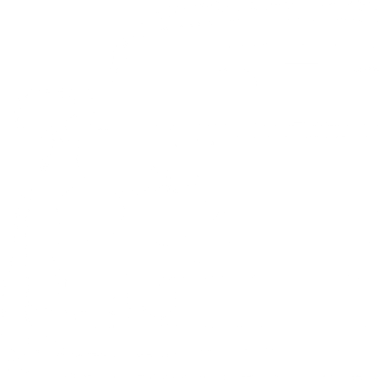Toyota Celica – Fahrzeug-Silhouette