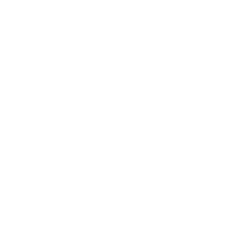 Toyota Corolla – Fahrzeug-Silhouette