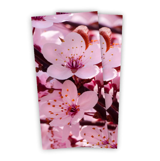 Kirschblüten