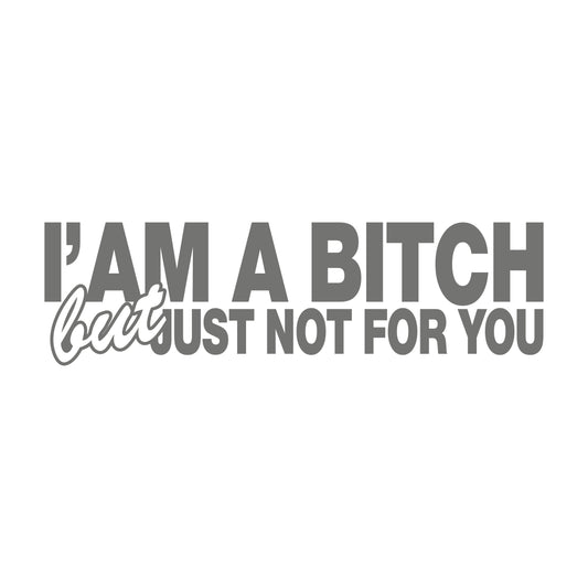I'am a Bitch but just not for You